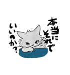 モフ猫銀くんのスタンプ（個別スタンプ：16）