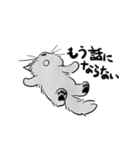 モフ猫銀くんのスタンプ（個別スタンプ：18）