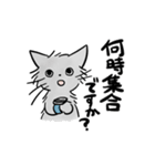 モフ猫銀くんのスタンプ（個別スタンプ：22）