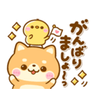 豆柴日和♡敬語（個別スタンプ：6）