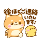 豆柴日和♡敬語（個別スタンプ：13）