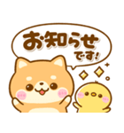 豆柴日和♡敬語（個別スタンプ：14）