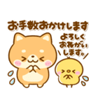 豆柴日和♡敬語（個別スタンプ：16）
