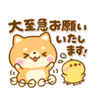 豆柴日和♡敬語（個別スタンプ：19）