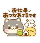豆柴日和♡敬語（個別スタンプ：22）