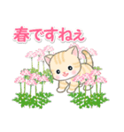 春の野原のベビーにゃんこ（個別スタンプ：3）