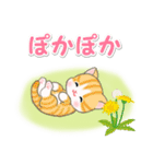 春の野原のベビーにゃんこ（個別スタンプ：5）