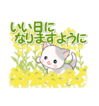 春の野原のベビーにゃんこ（個別スタンプ：8）