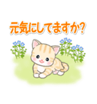 春の野原のベビーにゃんこ（個別スタンプ：9）