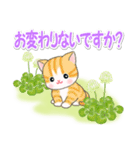 春の野原のベビーにゃんこ（個別スタンプ：10）