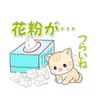 春の野原のベビーにゃんこ（個別スタンプ：12）