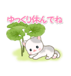 春の野原のベビーにゃんこ（個別スタンプ：19）