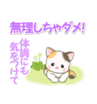 春の野原のベビーにゃんこ（個別スタンプ：20）