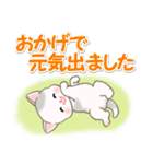 春の野原のベビーにゃんこ（個別スタンプ：21）