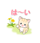 春の野原のベビーにゃんこ（個別スタンプ：25）