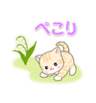 春の野原のベビーにゃんこ（個別スタンプ：28）