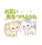 春の野原のベビーにゃんこ（個別スタンプ：36）