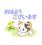 春の野原のベビーにゃんこ（個別スタンプ：37）
