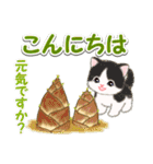 ころころ子猫 おいしい春（個別スタンプ：3）