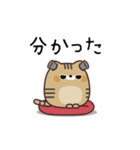 ふてぶてキジトラ猫の動くスタンプ（個別スタンプ：5）
