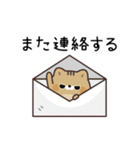 ふてぶてキジトラ猫の動くスタンプ（個別スタンプ：11）