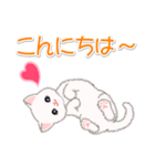 まったり白猫の毎日（個別スタンプ：4）
