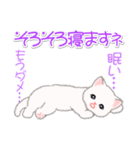 まったり白猫の毎日（個別スタンプ：6）