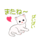 まったり白猫の毎日（個別スタンプ：8）