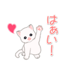 まったり白猫の毎日（個別スタンプ：11）