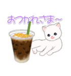まったり白猫の毎日（個別スタンプ：14）