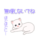 まったり白猫の毎日（個別スタンプ：16）