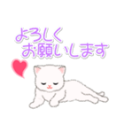 まったり白猫の毎日（個別スタンプ：18）