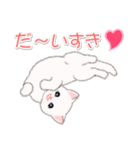 まったり白猫の毎日（個別スタンプ：19）