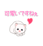 まったり白猫の毎日（個別スタンプ：24）