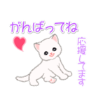 まったり白猫の毎日（個別スタンプ：25）