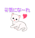 まったり白猫の毎日（個別スタンプ：27）