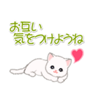 まったり白猫の毎日（個別スタンプ：28）