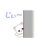 まったり白猫の毎日（個別スタンプ：29）