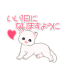 まったり白猫の毎日（個別スタンプ：33）