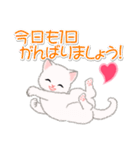 まったり白猫の毎日（個別スタンプ：34）