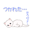 まったり白猫の毎日（個別スタンプ：37）