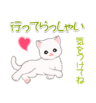 まったり白猫の毎日（個別スタンプ：38）