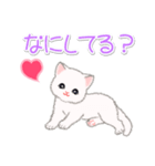 まったり白猫の毎日（個別スタンプ：39）