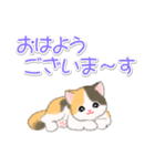 まったり三毛猫の毎日（個別スタンプ：1）