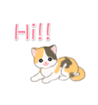 まったり三毛猫の毎日（個別スタンプ：3）
