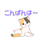 まったり三毛猫の毎日（個別スタンプ：5）