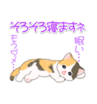 まったり三毛猫の毎日（個別スタンプ：6）