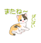 まったり三毛猫の毎日（個別スタンプ：8）