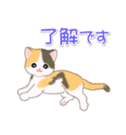 まったり三毛猫の毎日（個別スタンプ：9）