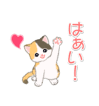 まったり三毛猫の毎日（個別スタンプ：11）